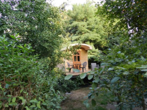 Tiny House Les Marlières